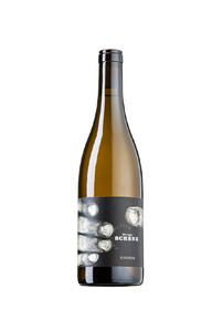 Weingut-Schenk-Silvaner-Spiegelung
